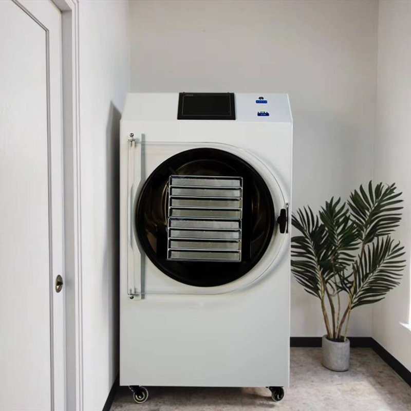 Máquina de secado automática c - Dried Fruit reseña y precio