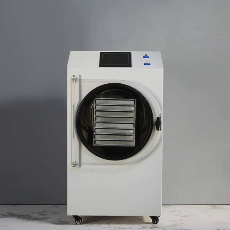 Máquina de secado automática c - Dried Fruit reseña y precio