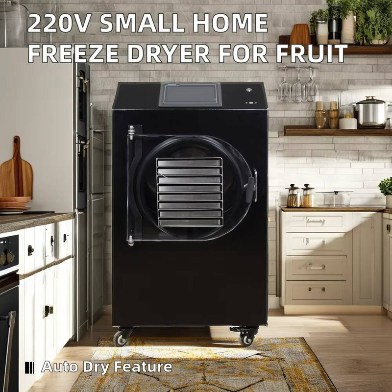 Máquina de secado automática c - Dried Fruit reseña y precio