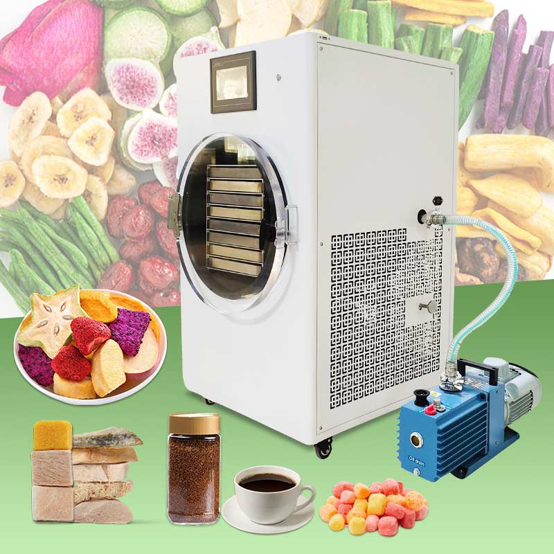 Pequeño congelación Mini Liofi - Dried Fruit reseña y precio